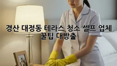 경산 대정동 테라스 청소🧹 셀프? 업체? 꿀팁 대방출! ✨