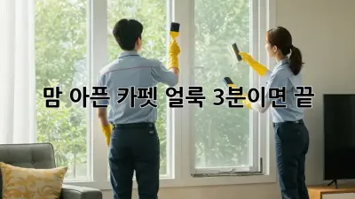 😱 맘 아픈 카펫 얼룩? 3분이면 끝! ✨